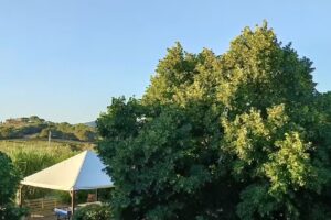 Agriturismo Poggio Al Vento Istia d’Ombrone