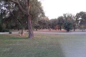 Agriturismo Poggio Romano