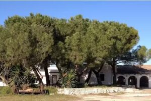 Agriturismo Posta del falco