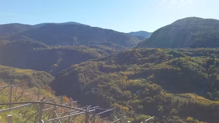 Agriturismo Ress Emilio