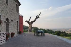 Agriturismo Ripabottina Montegridolfo