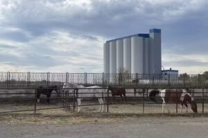 Agriturismo Rotarott’ Resort Centro Equestre