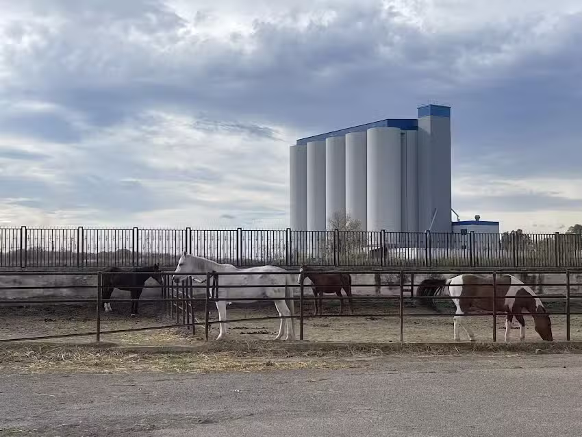 Agriturismo Rotarott’ Resort Centro Equestre