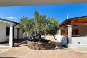 Agriturismo Sa Murta Dorgali