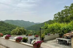 Agriturismo Sacchiafarm