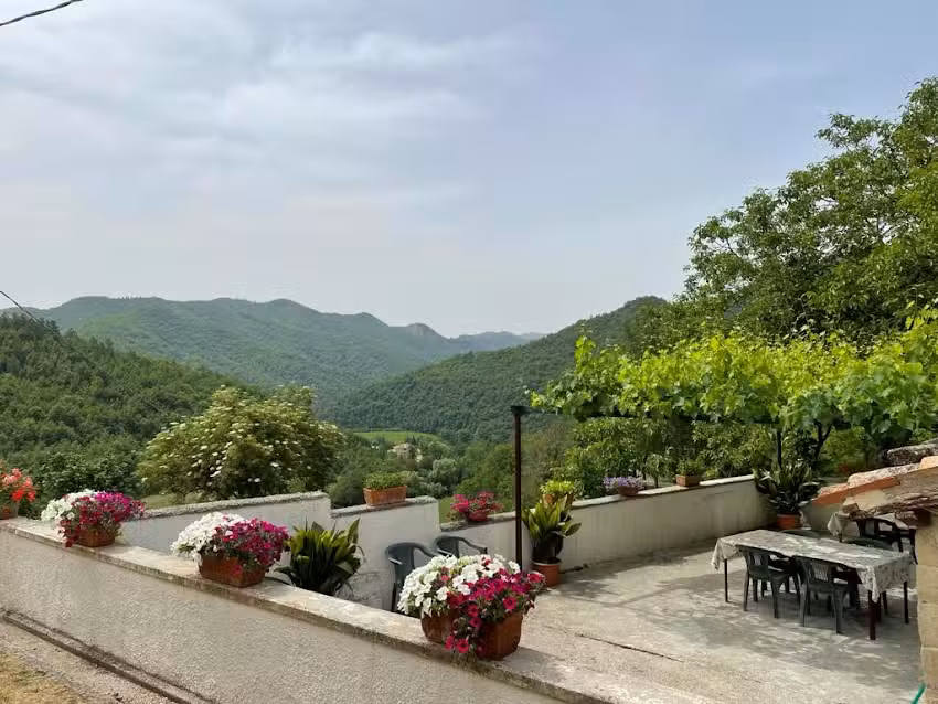 Agriturismo Sacchiafarm