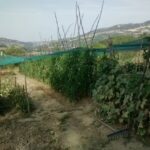 Agriturismo San Lorenzo