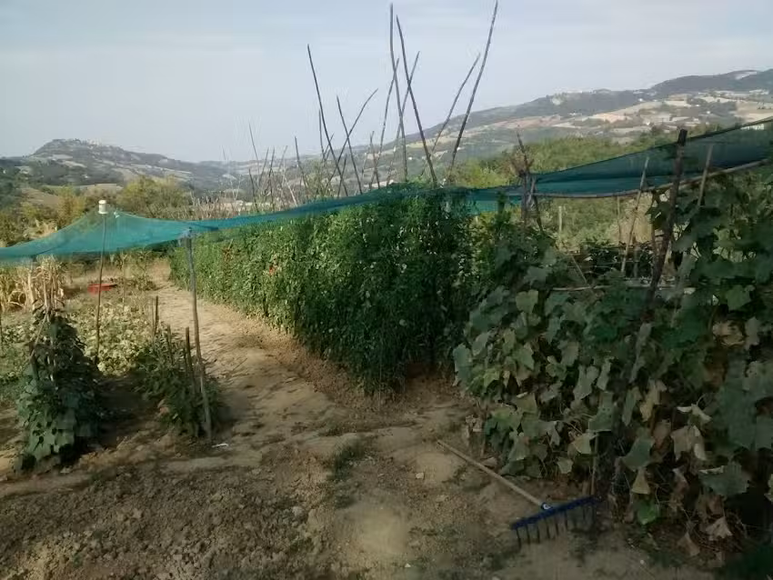 Agriturismo San Lorenzo