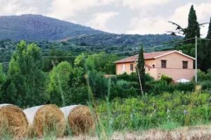Agriturismo San Mauro