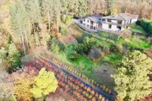 Agriturismo Sant’Anna