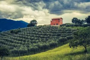Agriturismo Santa Giusta