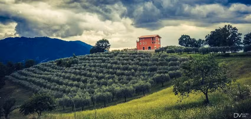 Agriturismo Santa Giusta