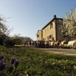 Agriturismo Santa Margherita