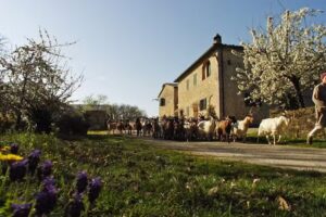 Agriturismo Santa Margherita