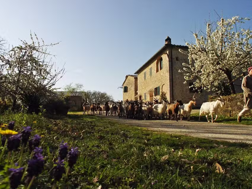 Agriturismo Santa Margherita