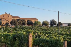 agriturismo Scalabrelli