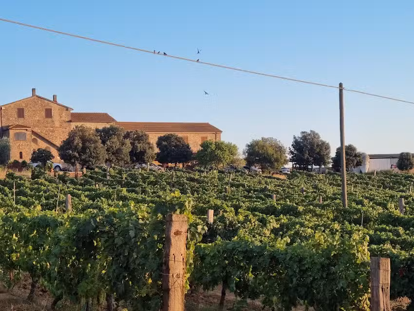 agriturismo Scalabrelli