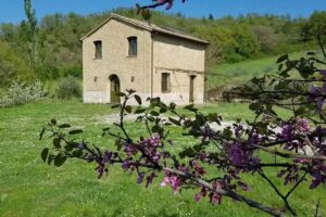 Agriturismo Serracanina