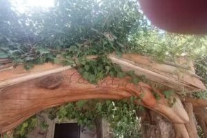 Agriturismo Su Calavigru Villagrande Strisiali