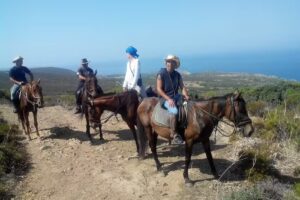 Agriturismo Su Landiri Marru