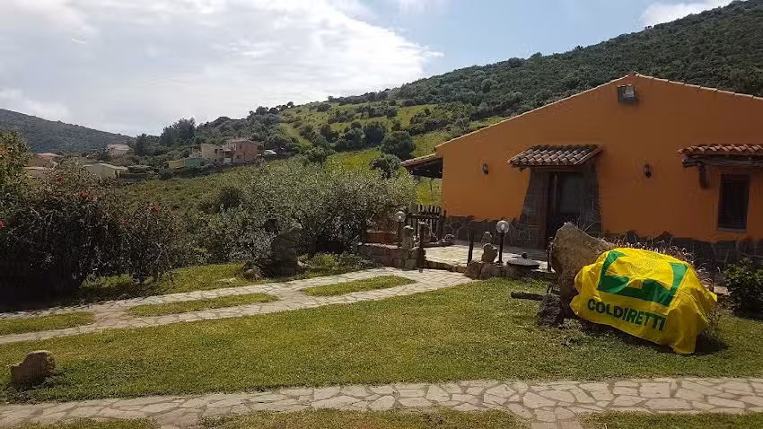 Agriturismo Su Nuraghe