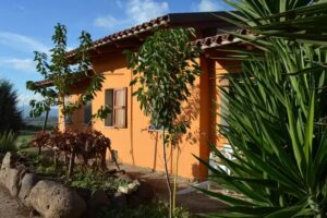 Agriturismo su Nuratolu