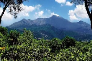 Agriturismo Tagliaborsa