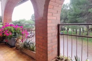 AGRITURISMO TAMANTINO