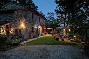 Agriturismo Tananei – Olive Oil tour & Farm to table dinners