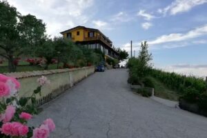 Agriturismo Tenuta Belvedere