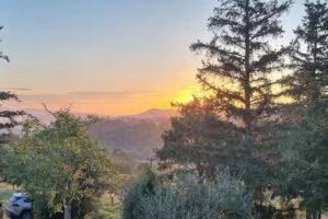 Agriturismo Tenuta Il Polardo