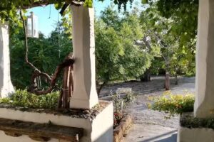 Agriturismo Tenuta Muzio