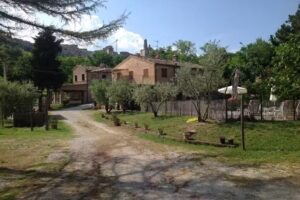 Agriturismo Terre Vineate