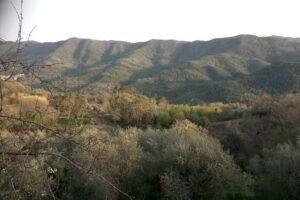 Agriturismo Tre Porcellini