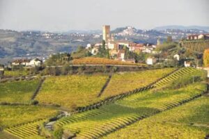 Agriturismo Tre Stelle