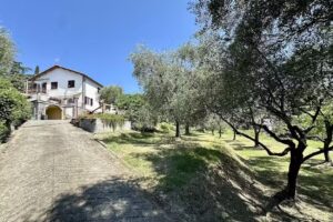 Agriturismo Uliveto Bartolomeo B&B