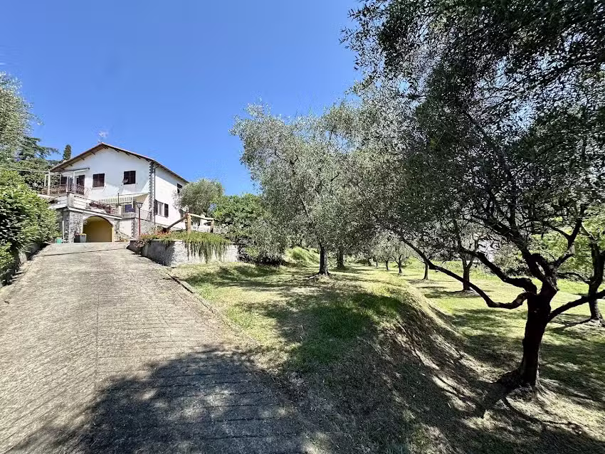 Agriturismo Uliveto Bartolomeo B&B