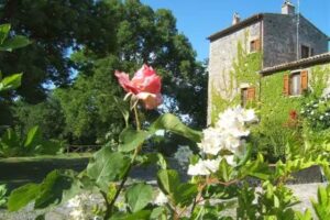 Agriturismo Valle del Tione