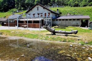 Agriturismo Valle Loana