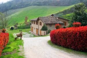 agriturismo varea le coste