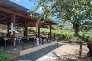 Agriturismo Verde Rurale