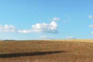 Agriturismo Vigna Vecchia