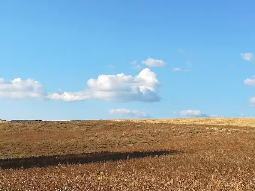 Agriturismo Vigna Vecchia