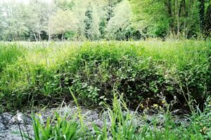 agriturismo villa eboli