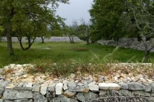 Agriturismo Zumpicchio – Azienda Agrituristica