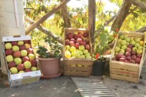 Agrituristica San Leo