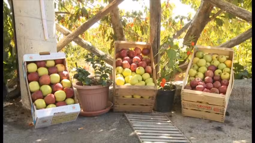 Agrituristica San Leo