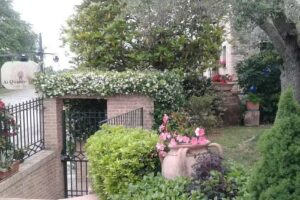 Ai Quattro Ulivi B&B