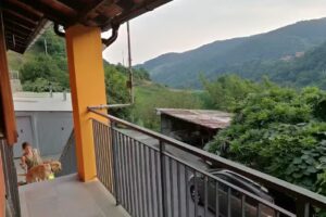 Al ciliegio del Turchino