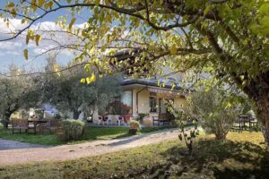 Al Mandorlo Ristorante Pizzeria